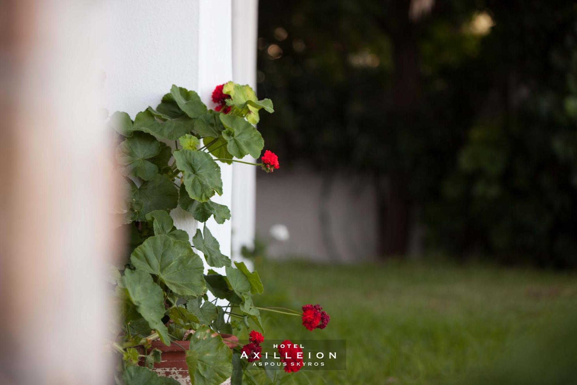 Achilleion Hotel Скірос Екстер'єр фото