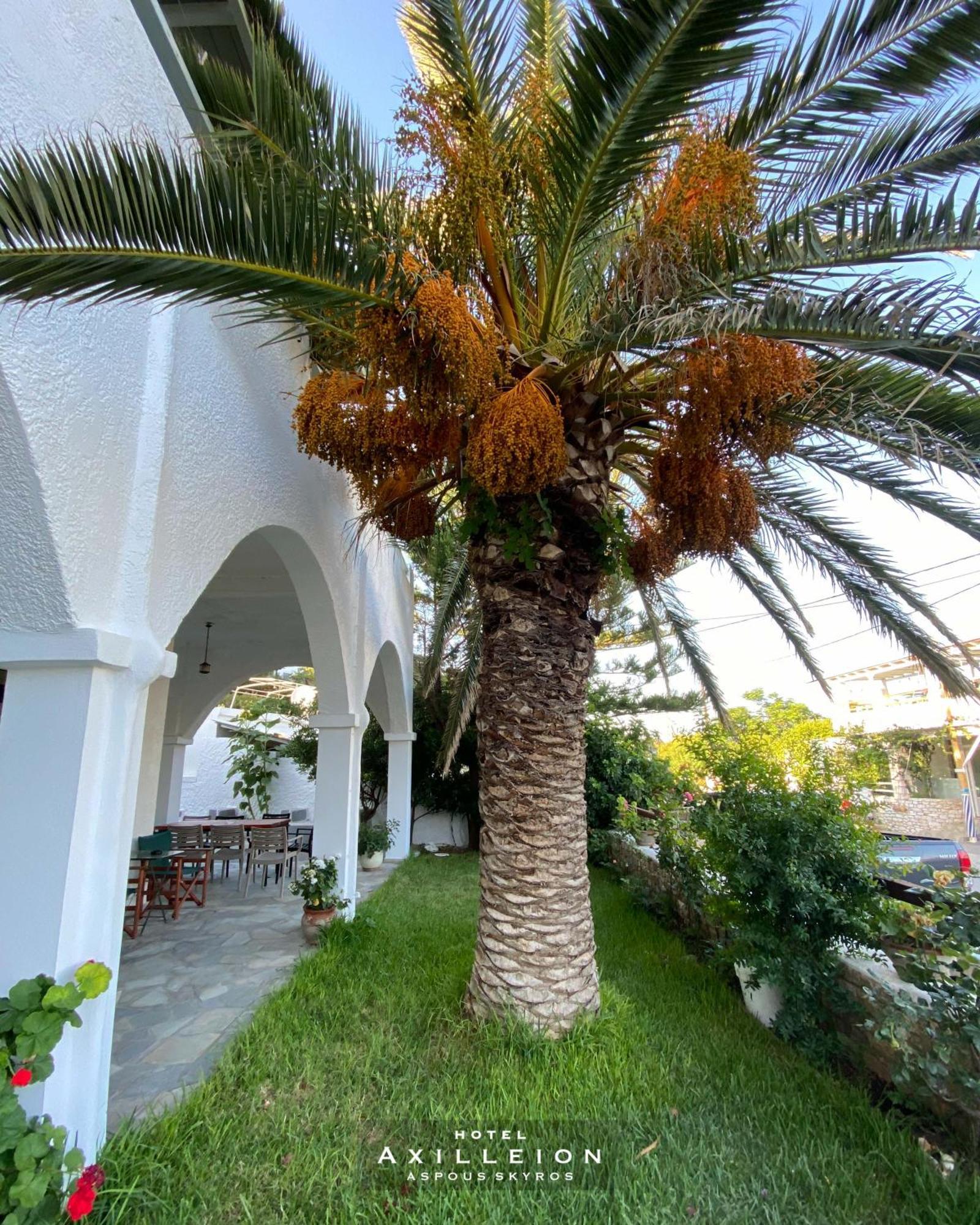 Achilleion Hotel Скірос Екстер'єр фото